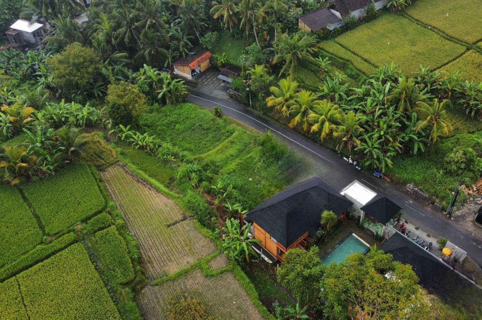 Harmony Wooden Villas Ubud Exterior foto